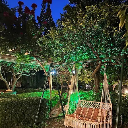 Ceylan Çıralı